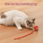 3pcs Interactive Cat Toys for Indoor Cats,with A Tail Interactive Cat Toy Ball Rolls, Spins & Wiggles for Fun, Exercise & Mental Enrichment,for Bored Indoor Adult Cats and Dog（Red Gray Green - Image 7