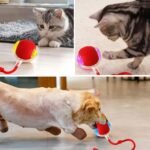 3pcs Interactive Cat Toys for Indoor Cats,with A Tail Interactive Cat Toy Ball Rolls, Spins & Wiggles for Fun, Exercise & Mental Enrichment,for Bored Indoor Adult Cats and Dog（Red Gray Green - Image 8