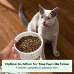 Open Farm Catch-of-The-Season Whitefish Grain-Free Dry Cat Food, Wild-Caught Fish Recipe with Non-GMO Superfoods and No Artificial Flavors or Preservatives, 8 lbs - Image 3