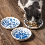 3 Ceramic Cat Bowls,5.5 inch Wide Shallow Cat Food Bowl for Relief Whisker Fatigue - Image 6