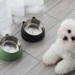 4 Pack Raised Cat Bowls, Stainless Steel Cat Food Water Bowl with Non-Slip Rubber, 14 oz Cat Dishes Cat Feeder for Indoor Pets, 4 Colors - Image 7