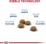 Royal Canin Indoor Long Hair Adult Dry Cat Food, 6 lb bag - Image 3