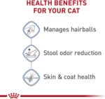 Royal Canin Indoor Long Hair Adult Dry Cat Food, 6 lb bag - Image 4