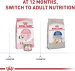 Royal Canin Indoor Long Hair Adult Dry Cat Food, 6 lb bag - Image 6