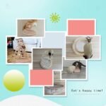 Andiker Interactive Cat Toy, Exercise Plush Mouse with Spiral Spring, Indoor Portable Toy for All Breed Sizes - Image 8