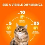 IAMS Perfect PORTIONS Indoor Wet Cat Food Cuts in Gravy - Chicken Flavour, 75g Tray (24 Pack) - Image 8