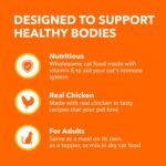 IAMS Perfect PORTIONS Indoor Wet Cat Food Cuts in Gravy - Chicken Flavour, 75g Tray (24 Pack) - Image 9