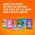 IAMS Perfect PORTIONS Indoor Wet Cat Food Cuts in Gravy - Chicken Flavour, 75g Tray (24 Pack) - Image 10