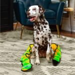 Outward Hound Durablez Tough Plush Squeaky Dog Toy, Snake, Green, XXL - Image 6