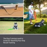 Dog Training Leash, Waterproof Long Dog Leash, Easy to Clean Long Line 6FT 10FT 15FT 30FT 50FT for Small, Medium, Large Dogs (Black, 10FT) - Image 7