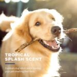 Wet Ones for Pets Deodorizing Multipurpose Dog Wipes with Baking Soda, Tropical Splash Scent - Desmellizing Wipes for Dogs in Canister, 50 Count - Image 6