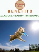 SPRINKLES & PAWS Pumpkin Sprinkles powder for dogs | Food Topper made in Canada with Organic Pumpkins | Helps Digestive Health, Allergy Relief, Skin & Coat | Yellow and Light Brown colour 175 g - Image 4