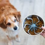 Messy Mutts Slow Feeder Bowl Insert with Suction | Slow Feeder Insert for Dog/Cat Bowls | One Size Fits Most Slow Feeding Accessory | 7.5” Bowl Insert - Image 3