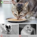 Cat Food Bowls, 6.7" Stainless Steel Whisker Fatigue Cat Plates with Non-Slip Silicone Base, Shallow Kitten Dishes for Wet & Dry Food - Image 6