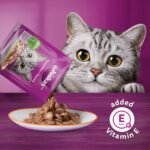 WHISKAS Favourites Adult Wet Cat Food - Chicken, Salmon, Tuna, White Fish Flavour Cuts in Gravy - 100% Complete and Balanced - Multipack 32x 85g Pouches - Image 6