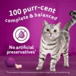 WHISKAS Favourites Adult Wet Cat Food - Chicken, Salmon, Tuna, White Fish Flavour Cuts in Gravy - 100% Complete and Balanced - Multipack 32x 85g Pouches - Image 7