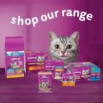 WHISKAS Favourites Adult Wet Cat Food - Chicken, Salmon, Tuna, White Fish Flavour Cuts in Gravy - 100% Complete and Balanced - Multipack 32x 85g Pouches - Image 8