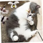 7Pcs Toys Cat Wand Replacement Insect Feather Toys Cat Wand Attachments Toy Wand Refills with Bell Interactive Toy Cat Teaser The Feather Cat Toys for Playing Catcher and Exercising - Image 5