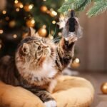 7Pcs Toys Cat Wand Replacement Insect Feather Toys Cat Wand Attachments Toy Wand Refills with Bell Interactive Toy Cat Teaser The Feather Cat Toys for Playing Catcher and Exercising - Image 8