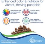 Aquascape Premium Color Enhancing Fish Food for Small to Medium Koi and Other Pond Fish, Medium Pellet, 2.2 Pounds | 98874 - Image 4