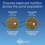 Aquascape Premium Color Enhancing Fish Food for Small to Medium Koi and Other Pond Fish, Medium Pellet, 2.2 Pounds | 98874 - Image 6