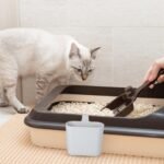 DECHOUS Cat Litter Scoop Holder Plastic Cat Litter Shovel Storage Holder with Hook for Space Saving Storage Organization - Image 5