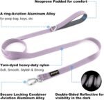 Plutus Pet Heavy Duty Dog Leash with Lockable Aluminum Carabiner, 4/6 Feet Long, Double-Sided Reflective Nylon, Padded Handle, for Puppy, Small, Medium and Large Dogs (Lilac Purple, 2.5 x 120cm) - Image 3