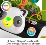 Fisher-Price 2-Sided Steady Speed Panda Walker, interactive baby walking toy with activities and learning songs - Image 6