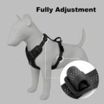 Plutus Pet No Pull Dog Harness, Reflective Adjustable Dog Vest Harness with Handle, Escape Proof, Soft Padded for Small Medium Large Dogs (Black, M) - Image 9