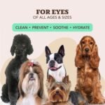 Natural Dog Company Grooming Wipes with Aloe Vera, Cleanses, Soothes, & Deodorizes, Fragrance Free, Hypoallergenic, Biodegradable - Dog Wipes for Ear, Paws, Face and Butt (50 ct) - Image 10