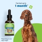 Pet Wellbeing - Thyroid Support Silver for Cats - Natural Support for Feline Thyroid and Healthy Metabolism - 2oz (59ml) - Image 3