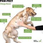 Deley Naturals Fish Oil for Dogs 2X Omega - Icelandic Fish Oil for Dogs - Dog Supplements with Omega 3 6 9 for Skin and Immunity - Vitamins and Supplements High EPA & DHA for Optimal Wellness - 473ml - Image 4