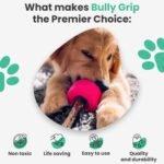 Bully Stick Holder - Size Small Interactive Dog Toy, Slow Feeder, Treat Dispenser, Chew Toy and Dog Safety Device - Image 5