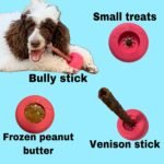 Bully Stick Holder - Size Small Interactive Dog Toy, Slow Feeder, Treat Dispenser, Chew Toy and Dog Safety Device - Image 7