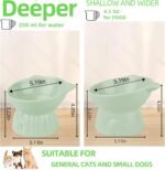 Elevated Cat Bowls 2-Pack, Ceramic Raised Cat Food & Water Dishes - Extra Wide & Shallow Whisker-Friendly Design, Anti-Vomit & Easy Digestion, Lead/Cadmium-Free, Microwave & Dishwasher Safe (Green) - Image 3