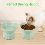 Elevated Cat Bowls 2-Pack, Ceramic Raised Cat Food & Water Dishes - Extra Wide & Shallow Whisker-Friendly Design, Anti-Vomit & Easy Digestion, Lead/Cadmium-Free, Microwave & Dishwasher Safe (Green) - Image 7