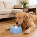 Haofy Slow Feeder Lick Bowl Spill Proof Liquid Treat Dispenser Dog Licking Ball for Bone Broth Yogurt Puree Pet Feeding Bowl (Blue) - Image 5