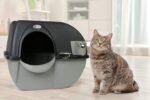 Omega Paw Self Cleaning Litter Box, Elite Roll 'N Clean Litter Box, Regular Size for Kittens and Cats 10 lbs and Under, Black Colour (EL-RA15-1) with Integrated Litter Step and Chrome Accents - Image 5