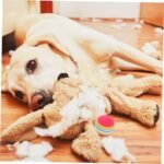 10pcs Eva Interactive Floating Rainbow Ball Cat Supplies Treat Lickable Puzzle Toy Pet Accessory - Image 6