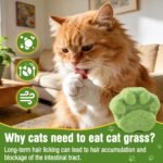 100g Freezed Drying Cat Grass Treats, Cat Grass Teething Sticks Cats Snacks for Hairball Removal and Dental Care - Image 6