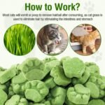 100g Freezed Drying Cat Grass Treats, Cat Grass Teething Sticks Cats Snacks for Hairball Removal and Dental Care - Image 8