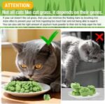 100g Freezed Drying Cat Grass Treats, Cat Grass Teething Sticks Cats Snacks for Hairball Removal and Dental Care - Image 9