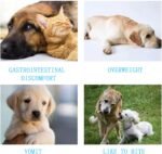 Lick Mat for Dogs Cat Food Mat Dog Large Lick Mat with Spatula Slow Feeders for Cats for Anxiety Relief for Bathing Grooming - Image 5