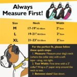 Mayerzon 2 Inch Wide Martingale Collar for Large Dogs, Patented No Pull Walking Training Dog Collar for Pitbull German Shepherd, with Buckle, Reflective Stitching, Adjustable (Black, L) - Image 3