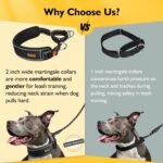 Mayerzon 2 Inch Wide Martingale Collar for Large Dogs, Patented No Pull Walking Training Dog Collar for Pitbull German Shepherd, with Buckle, Reflective Stitching, Adjustable (Black, L) - Image 5