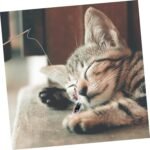 Yardwe 3pcs Interactive Cat Wand Toys DIY Assembly Kit Indoor Household Kitten Toys Random Colors for Adult Cats - Image 6