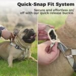 BINGPET Dog Harness Collar Leash Set,Adjustable No Pull Escape Proof Small Dog Harness,Classic Plaid Puppy Harness and Leash Set for Small Medium Large Dogs Training Easy Walk Running(Beige,S) - Image 5