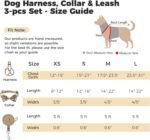 BINGPET Dog Harness Collar Leash Set,Adjustable No Pull Escape Proof Small Dog Harness,Classic Plaid Puppy Harness and Leash Set for Small Medium Large Dogs Training Easy Walk Running(Beige,S) - Image 7