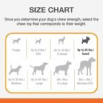 Nylabone Dura Chew Regular Bacon Flavored Double Action Bone Dog Chew Toy - Image 5