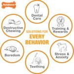 Nylabone Dura Chew Regular Bacon Flavored Double Action Bone Dog Chew Toy - Image 6